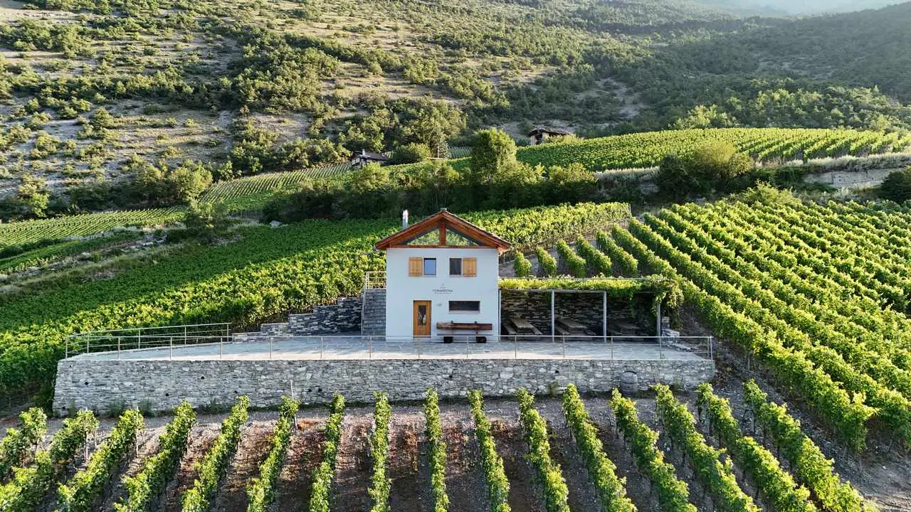 Drohnenblick auf das Rebhaus zwischen den Rebzeilen des Clos du Cornalin
